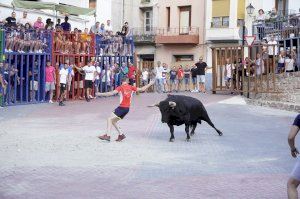 Las actividades taurinas, protagonistas en las fiestas de Vilafamés