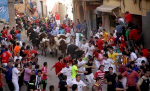 El Ayuntamiento anuncia 4 ganaderías de primer nivel para potenciar el cartel taurino de Fira d'Onda