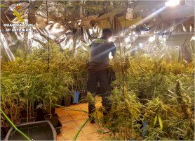 La Guardia Civil desmantela dos plantaciones más de marihuana indoor en la provincia de Alicante