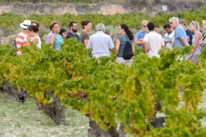 El Poble Nou de Benitatxell reivindica en la seua primera Festa del Moscatell a les "estisoradores" i la "xafada" tradicional del raïm