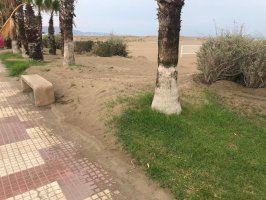 Cs de Castelló denuncia l'estat del Parc Litoral del Grau i reivindica al Fadrell un mínim de manteniment