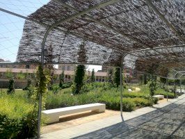 El Ayuntamiento cubre con brezo la pérgola del Parque Central para ampliar la zona de sombra