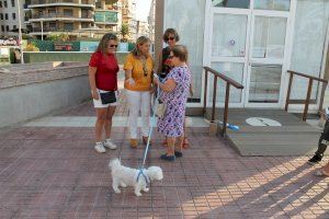 Benicàssim reparte botellas de plástico y bolsas para acabar con los orines y excrementos de perro en la calle