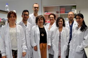 Especialistas europeos se reúnen en València para investigar el impacto en la microbiota intestinal de la comida y las técnicas de cocción