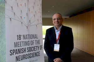 Investigadores del Instituto de Neurociencias UMH-CSIC descubren un nuevo mecanismo responsable de los problemas de memoria espacial