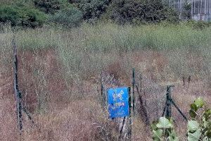 El PSOE exige mejoras para garantizar la seguridad y salubridad de los parques caninos