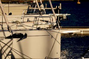 Récord de expositores a dos meses del Valencia Boat Show