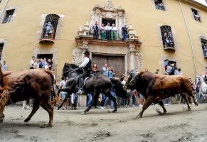 Leve incidente en la cuarta Entrada de Toros y Caballos de Segorbe