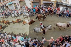 Sogorb tanca l'última Entrada de Bous i Cavalls amb magnificència