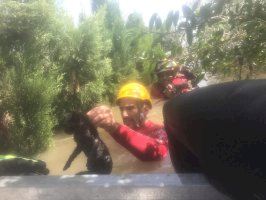 Los bomberos del Speis rescatan a los animales atrapados en casas a causa de las inundaciones