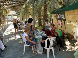 La II Trobada d’Associacions d’Elx busca acercar los colectivos locales y mostrar su trabajo