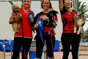 Esportiu Agility Almussafes consigue el subcampeonato de España de Interclubs