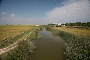 Valencia invierte más de 200 mil euros para limpiar la Albufera