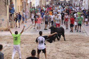 La Peña Taurina El Barrio de Puçol duplica sus actividades en la segunda semana para rescatar los actos suspendidos