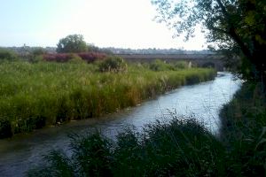 Riba-roja vertió 2’3 millones de metros cúbicos de agua depurada a l’Albufera de València y al río Túria durante el año 2018 - (foto 2) Riba-roja vertió 2’3 millones de metros cúbicos de agua depurada a l’Albufera de València y al río Túria durante el año 2018 - (foto 2)