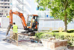 La poda anual de árboles se iniciará la semana próxima en la Colonia Madrid