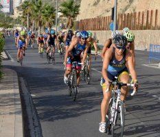 El Alicante Triatlón supera sus categorías Supersprint y Sprint y se abre a la prueba reina de mañana con el Triatlón Olímpico