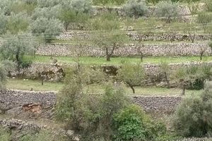 Les primeres jornades sobre el paisatge de la pedra en sec que tindran lloc a La Vall de Pop cercaran promoure i recuperar tècniques constructives tradicionals