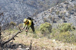 Las brigadas forestales incrementan los trabajos de prevención de incendios