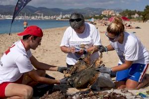 Retiran 26 toneladas de residuos de los fondos marinos este fin de semana