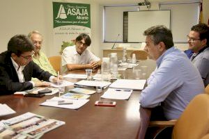 La Diputación respalda las reivindicaciones de ASAJA para que se amplíen las ayudas estatales a las explotaciones agrícolas y pecuarias de la Vega Baja