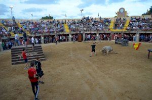 El toro cerril protagoniza la recta final de las fiestas patronales de Oropesa del Mar