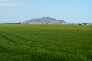 Cullera abre el período para quemar la paja del arroz