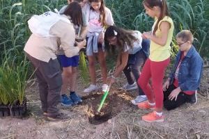 Plantación en els Estanys de Almenara para celebrar el 25 aniversario de la creación de las microrreservas en la Comunitat Valenciana - (foto 3)