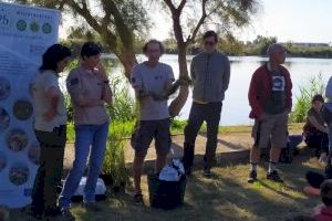 Plantación en els Estanys de Almenara para celebrar el 25 aniversario de la creación de las microrreservas en la Comunitat Valenciana - (foto 6)