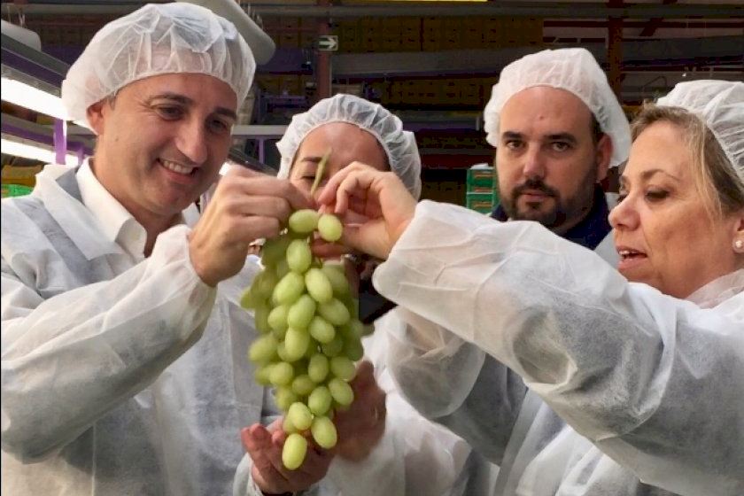 El PP dóna suport a millores fiscals als productors de DO Raïm del Vinalopó