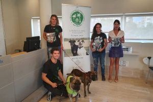 La protectora Baix Vinalopó y el Ayuntamiento de Elche crean un calendario solidario destinado al cuidado y manutención de los animales