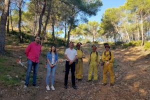 Oropesa del Mar 'limpia' seis hectáreas de zona forestal como medida de prevención de incendios