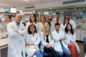 Científicos valencianos descubren que un antirretroviral para el tratamiento del VIH atenúa la fibrosis hepática