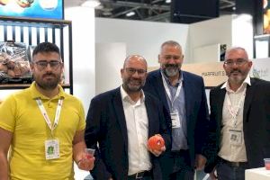 Felip Sànchez traslada el apoyo del Consistorio a los productores agrícolas ilicitanos en IFEMA - (foto 2) Felip Sànchez traslada el apoyo del Consistorio a los productores agrícolas ilicitanos en IFEMA - (foto 2)