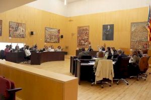 El pleno de Benidorm respalda la moción del gobierno local para que la Generalitat permita al sector del taxi disponer de vehículos de 7 plazas