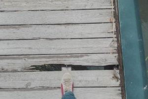 Riba-roja denuncia suciedad y abandono en el Parc Fluvial del Túria y exige una reunión con la Conselleria de Medio Ambiente - (foto 4)