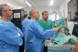 Un laboratorio móvil acerca a las puertas del Hospital de Alicante la formación en traumatología