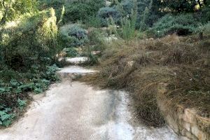 El PP denuncia que en el acto de premios de Viles en Flor aparezcan imágenes del Arboretum en perfecto estado "cuando actualmente está abandonado" - (foto 3) El PP denuncia que en el acto de premios de Viles en Flor aparezcan imágenes del Arboretum en perfecto estado "cuando actualmente está abandonado" - (foto 3)