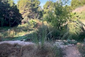 El PP denuncia que en el acto de premios de Viles en Flor aparezcan imágenes del Arboretum en perfecto estado "cuando actualmente está abandonado" - (foto 4) El PP denuncia que en el acto de premios de Viles en Flor aparezcan imágenes del Arboretum en perfecto estado "cuando actualmente está abandonado" - (foto 4)