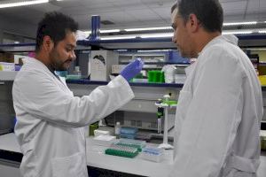 Investigadores valencianos demuestran que la tuberculosis se puede transmitir antes de que aparezcan los primeros síntomas
