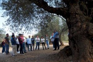 El projecte del PP garanteix l'economia sostenible del sector rural de l'interior de Castelló