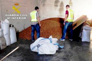 Detenido por robar 2.600 kilos de almendra en Altura y Jérica