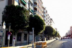 Valencia inicia la poda de los 356 árboles de la avenida del Puerto