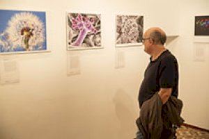 La Llotja del Cànem acull l’exposició de fotografia científica «FOTCIENCIA15»