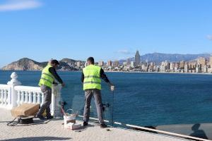Benidorm abre el Parque de Elche para facilitar el desarrollo de varios actos de las Festes Majors Patronals - (foto 4)
