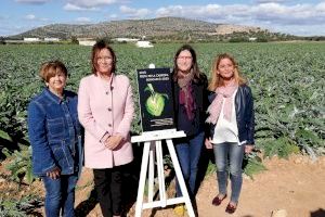 La XXVII Festa de la Carxofa comença a rodar amb la presentació del cartell anunciador