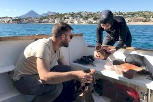 Recuperen desenes de tresors arqueològics en les aigües d'Altea