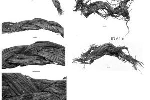 ¿Sabías que en el Paleolítico ya se elaboraban cestos y cuerdas? - (foto 2)