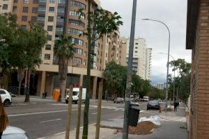 El Ayuntamiento inicia la plantación de arbolado en la calle Hernández Lázaro del barrio de San Pablo, en Campanar, con una inversión de 25.500 euros