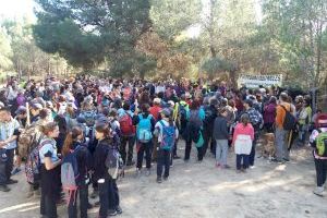 Més de 600 persones planten més de 14.000 bellotes en Les Moles - (foto 3) Més de 600 persones planten més de 14.000 bellotes en Les Moles - (foto 3)